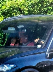 Filename=00016.jpg
Filesize=2192KiB
Dimensions=2048x1364
Date added=Aug 25, 2025 00016.jpg