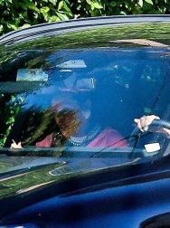 Filename=00021.jpg
Filesize=2012KiB
Dimensions=2048x1365
Date added=Aug 25, 2025 00021.jpg