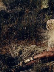 Filename=00138.jpg
Filesize=2433KiB
Dimensions=2048x1365
Date added=Aug 28, 2025 00138.jpg