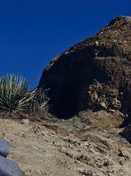 Filename=00210.jpg
Filesize=2476KiB
Dimensions=2048x1365
Date added=Aug 28, 2025 00210.jpg